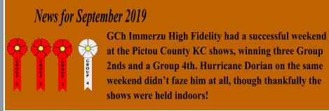 News for September 2019 GCh Immerzu High Fidelity had a successful weekend at the Pictou County KC shows, winning three Group 2nds and a Group 4th. Hurricane Dorian on the same weekend didn’t faze him at all, though thankfully the shows were held indoors!