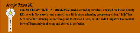 News for October 2021 Can/Am Ch IMMERZU HARMONIZING (bred & owned by ourselves) attended the Pictou County KC shows in Nova Scotia, and won a Group 4th in stroung herding group competition. “Tally” has been out of the showring for over two years thanks to COVID, but she hadn’t forgotten how to strut her stuff beautifully in the ring and showed to perfection.