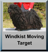 Windkist Moving Target