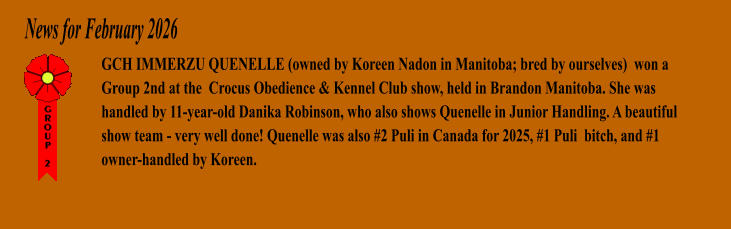 News for February 2026 GCH IMMERZU QUENELLE (owned by Koreen Nadon in Manitoba; bred by ourselves)  won a  Group 2nd at the  Crocus Obedience & Kennel Club show, held in Brandon Manitoba. She was handled by 11-year-old Danika Robinson, who also shows Quenelle in Junior Handling. A beautiful  show team - very well done! Quenelle was also #2 Puli in Canada for 2025, #1 Puli  bitch, and #1 owner-handled by Koreen.