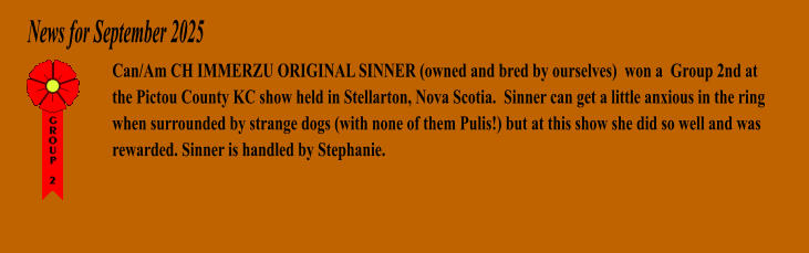 News for September 2025 Can/Am CH IMMERZU ORIGINAL SINNER (owned and bred by ourselves)  won a  Group 2nd at the Pictou County KC show held in Stellarton, Nova Scotia.  Sinner can get a little anxious in the ring when surrounded by strange dogs (with none of them Pulis!) but at this show she did so well and was rewarded. Sinner is handled by Stephanie.