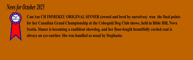 Can/Am CH IMMERZU ORIGINAL SINNER (owned and bred by ourselves)  won  the final points for her Canadian Grand Championship at the Cobequid Dog Club shows, held in Bible Hill, Nova Scotia. Sinner is becoming a confident showdog, and her floor-length beautifully corded coat is always an eye-catcher. She was handled as usual by Stephanie. News for October 2025