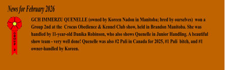 News for February 2026 GCH IMMERZU QUENELLE (owned by Koreen Nadon in Manitoba; bred by ourselves)  won a  Group 2nd at the  Crocus Obedience & Kennel Club show, held in Brandon Manitoba. She was handled by 11-year-old Danika Robinson, who also shows Quenelle in Junior Handling. A beautiful  show team - very well done! Quenelle was also #2 Puli in Canada for 2025, #1 Puli  bitch, and #1 owner-handled by Koreen.