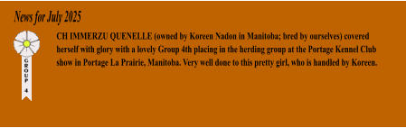 News for July 2025 CH IMMERZU QUENELLE (owned by Koreen Nadon in Manitoba; bred by ourselves) covered herself with glory with a lovely Group 4th placing in the herding group at the Portage Kennel Club show in Portage La Prairie, Manitoba. Very well done to this pretty girl, who is handled by Koreen.