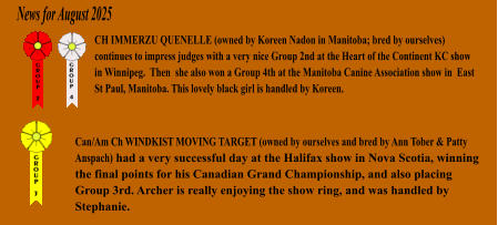 CH IMMERZU QUENELLE (owned by Koreen Nadon in Manitoba; bred by ourselves) continues to impress judges with a very nice Group 2nd at the Heart of the Continent KC show in Winnipeg.  Then  she also won a Group 4th at the Manitoba Canine Association show in  East St Paul, Manitoba. This lovely black girl is handled by Koreen.   News for August 2025 Can/Am Ch WINDKIST MOVING TARGET (owned by ourselves and bred by Ann Tober & Patty Anspach) had a very successful day at the Halifax show in Nova Scotia, winning the final points for his Canadian Grand Championship, and also placing Group 3rd. Archer is really enjoying the show ring, and was handled by Stephanie.