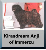 Kirasdream Anji of Immerzu