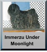 Immerzu Under Moonlight