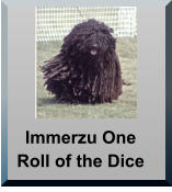 Immerzu One Roll of the Dice