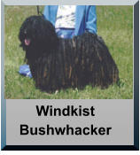 Windkist Bushwhacker