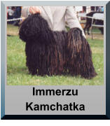 Immerzu Kamchatka
