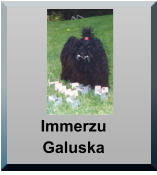 Immerzu Galuska