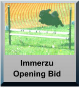 Immerzu Opening Bid Immerzu Opening Bid