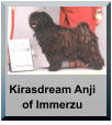 Kirasdream Anji of Immerzu