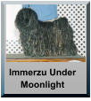 Immerzu Under Moonlight