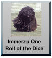 Immerzu One Roll of the Dice