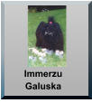 Immerzu Galuska