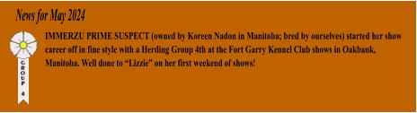 News for May 2024 IMMERZU PRIME SUSPECT (owned by Koreen Nadon in Manitoba; bred by ourselves) started her show career off in fine style with a Herding Group 4th at the Fort Garry Kennel Club shows in Oakbank, Manitoba. Well done to Lizzie on her first weekend of shows!