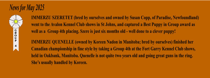 News for May 2025 IMMERZU SZERETET (bred by ourselves and owned by Susan Copp, of Paradise, Newfoundland) went to the Avalon Kennel Club shows in St Johns, and captured a Best Puppy in Group award as well as a  Group 4th placing. Szere is just six months old - well done to a clever puppy! IMMERZU QUENELLE (owned by Koreen Nadon in Manitoba; bred by ourselves) finished her Canadian championship in fine style by taking a Group 4th at the Fort Garry Kennel Club shows, held in Oakbank, Manitoba. Quenelle is not quite two years old and going great guns in the ring. Shes usually handled by Koreen.