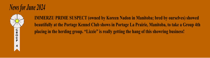 News for June 2024 IMMERZU PRIME SUSPECT (owned by Koreen Nadon in Manitoba; bred by ourselves) showed beautifully at the Portage Kennel Club shows in Portage La Prairie, Manitoba, to take a Group 4th placing in the herding group. Lizzie is really getting the hang of this showring business!