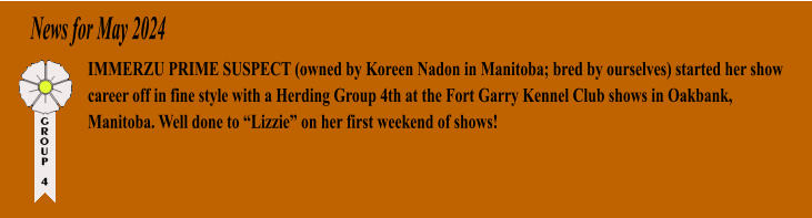 News for May 2024 IMMERZU PRIME SUSPECT (owned by Koreen Nadon in Manitoba; bred by ourselves) started her show career off in fine style with a Herding Group 4th at the Fort Garry Kennel Club shows in Oakbank, Manitoba. Well done to Lizzie on her first weekend of shows!