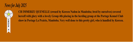 News for July 2025 CH IMMERZU QUENELLE (owned by Koreen Nadon in Manitoba; bred by ourselves) covered herself with glory with a lovely Group 4th placing in the herding group at the Portage Kennel Club show in Portage La Prairie, Manitoba. Very well done to this pretty girl, who is handled by Koreen.