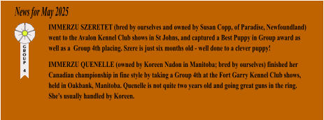 News for May 2025 IMMERZU SZERETET (bred by ourselves and owned by Susan Copp, of Paradise, Newfoundland) went to the Avalon Kennel Club shows in St Johns, and captured a Best Puppy in Group award as well as a  Group 4th placing. Szere is just six months old - well done to a clever puppy! IMMERZU QUENELLE (owned by Koreen Nadon in Manitoba; bred by ourselves) finished her Canadian championship in fine style by taking a Group 4th at the Fort Garry Kennel Club shows, held in Oakbank, Manitoba. Quenelle is not quite two years old and going great guns in the ring. Shes usually handled by Koreen.