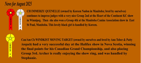 CH IMMERZU QUENELLE (owned by Koreen Nadon in Manitoba; bred by ourselves) continues to impress judges with a very nice Group 2nd at the Heart of the Continent KC show in Winnipeg.  Then  she also won a Group 4th at the Manitoba Canine Association show in  East St Paul, Manitoba. This lovely black girl is handled by Koreen.   News for August 2025 Can/Am Ch WINDKIST MOVING TARGET (owned by ourselves and bred by Ann Tober & Patty Anspach) had a very successful day at the Halifax show in Nova Scotia, winning the final points for his Canadian Grand Championship, and also placing Group 3rd. Archer is really enjoying the show ring, and was handled by Stephanie.